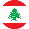 ٦